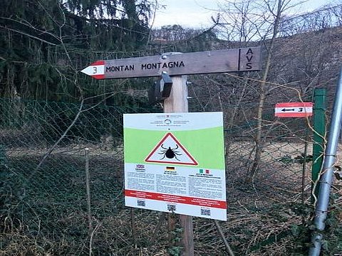 Alto Adige: Attenzione alle zecche!