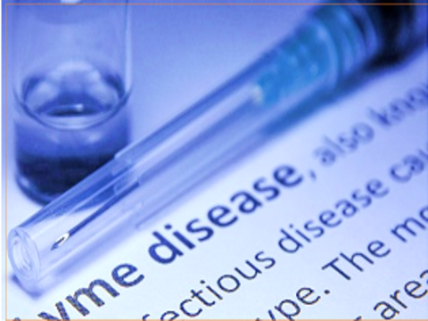 Lyme: rallenta l’iter del vaccino