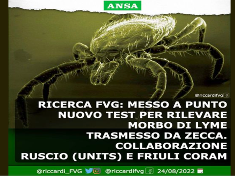Lyme: il post dell’Assessore alla salute del FVG