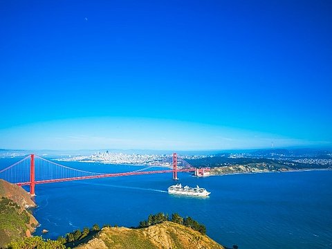 Tremila zecche nella baia di San Francisco