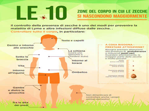 Lyme e bambini: 7 cose da sapere
