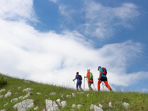 Zecche: prima segnalazione a Belluno