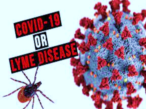 È Covid o malattia di Lyme?