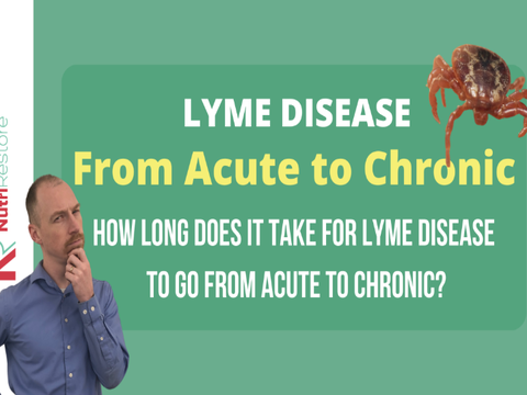 Lyme persistente: la ricerca delle cause