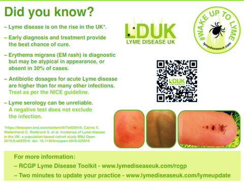 Lyme: più casi in Inghilterra