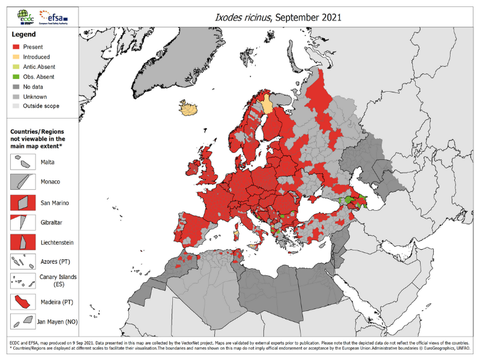 Zecche in Europa