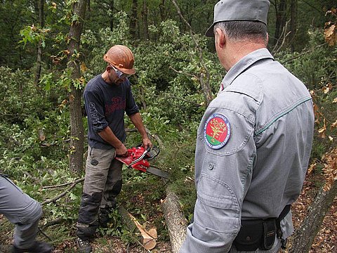Zecche: a rischio forestali e agricoltori