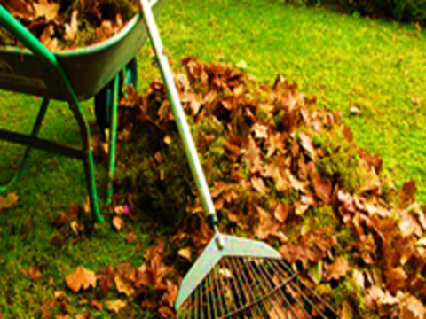 Come avere un giardino senza zecche