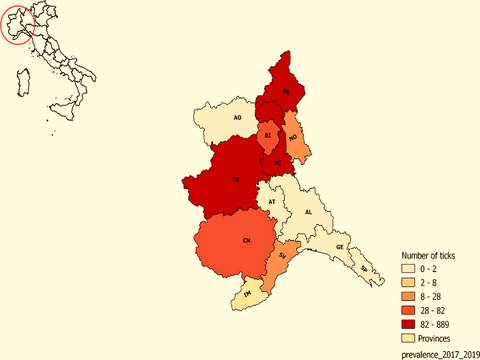 Zecche a nord-ovest