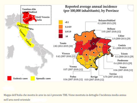 TBE: qual è la situazione in Italia?