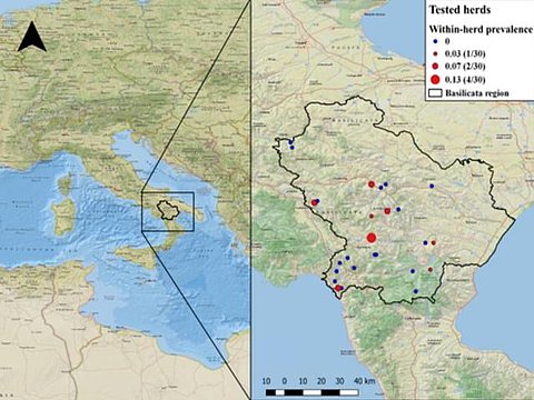 Trovato in Italia il CCHF-virus