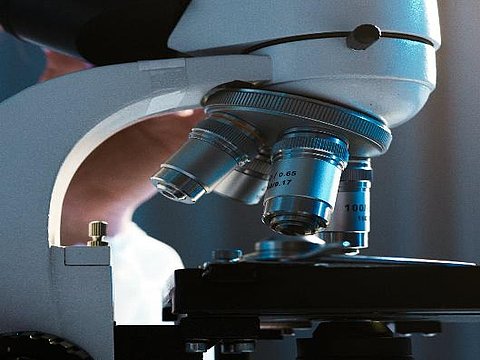 Malattia di Lyme, siamo alla svolta?