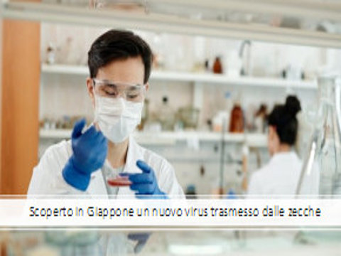Un virus nuovo di zecca!