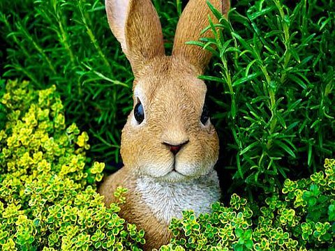 Buona Pasqua!