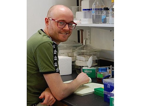 Lyme, le promesse di un nuovo test