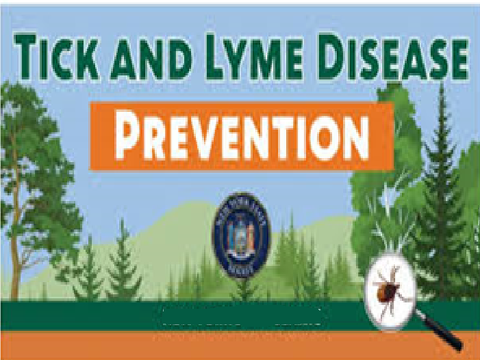 Lyme, come proteggersi