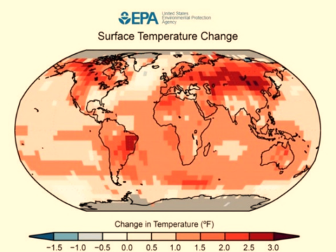 Lyme, gli effetti del riscaldamento globale