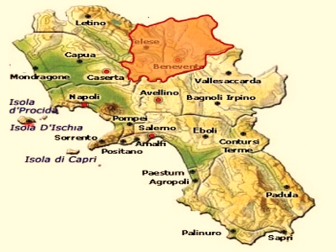 Lyme, primo caso nel Sannio