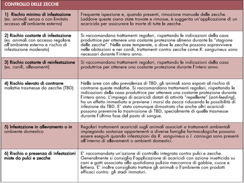 Lyme nei cani: 5 cose da sapere