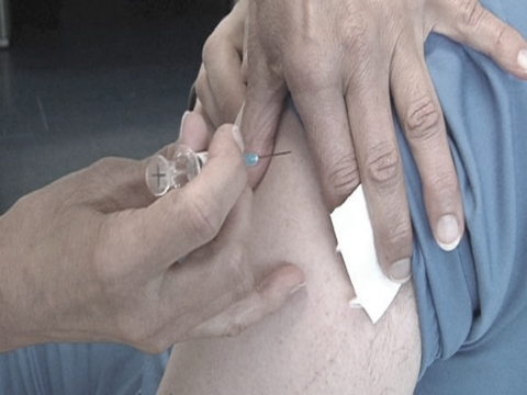 Tbe. A Belluno boom di vaccinazioni