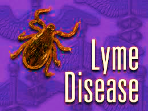 Lyme: Stati Uniti vs Europa