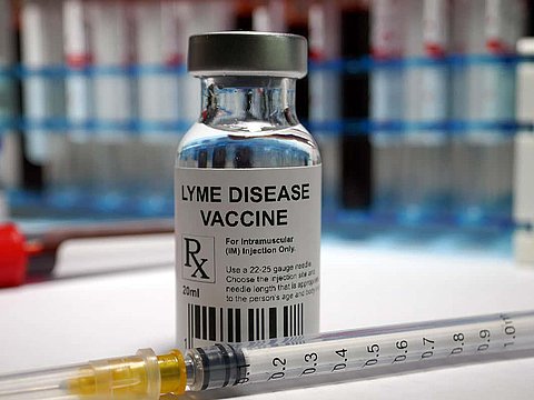 Lyme: il punto sul vaccino