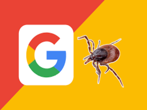 Zecche e Google
