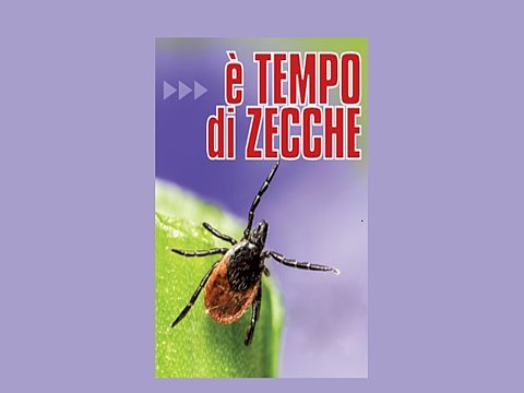 In Friuli “è tempo di zecche”