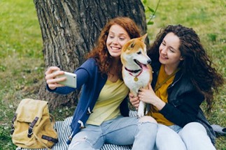 Primavera, come proteggersi dalle zecche