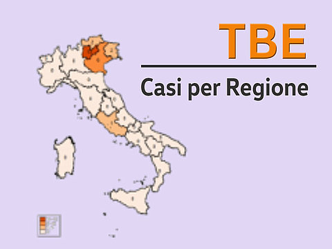 Sono 24 nuovi casi di encefalite da zecche (Tbe) registrati in Italia nel 2019