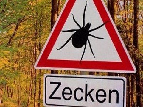 Allarme TBE in Svizzera