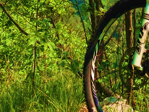 Zecche e bici: come proteggersi?