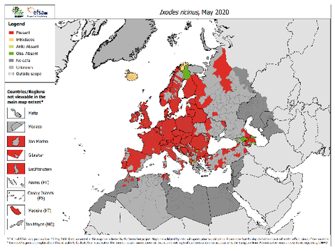 Zecche: aggiornate le mappe sulla diffusione in Europa