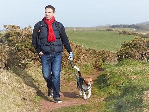 Come proteggere il cane dalle zecche?